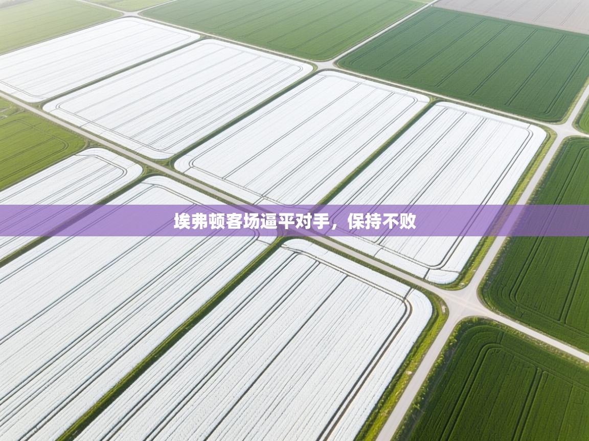 埃弗顿客场逼平对手，保持不败